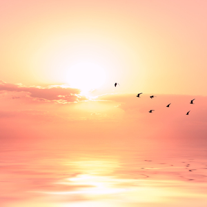 台湾真军巜逍遥双枪
